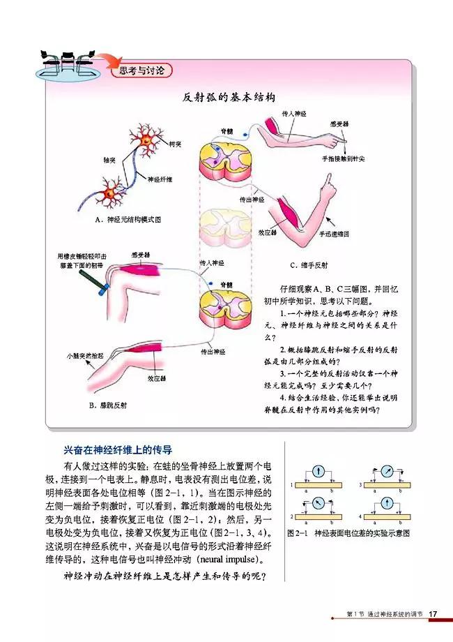 高中生物选择性必修3知识点,高中生物必修三课本电子版
