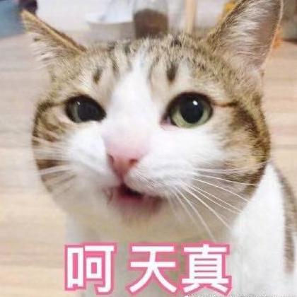 被老鼠尿液污染的食物还能吃吗,老鼠会不会用尿做标记