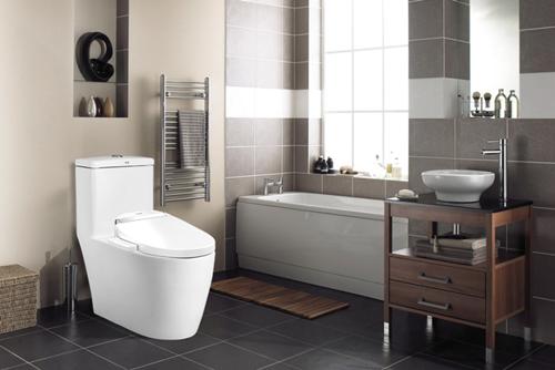 智能马桶盖乡镇市场,智能马桶盖零售生意