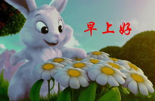 最美早上好祝福语图片,最新早上好带祝福语微信图片