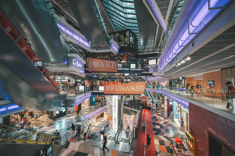 一人一猫环游,一人一猫旅行