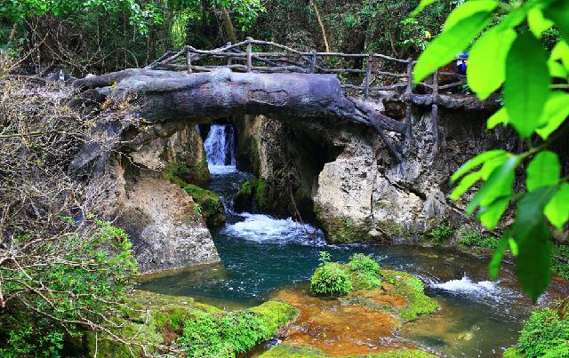 黄果树景区门票优惠政策五折,最新黄果树景区门票优惠政策