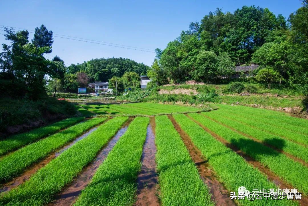 四川岳池黄龙水库,岳池黄龙杨家沟水库