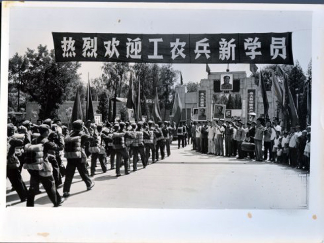 奚美娟国家一级演员,潘虹和奚美娟的电视剧