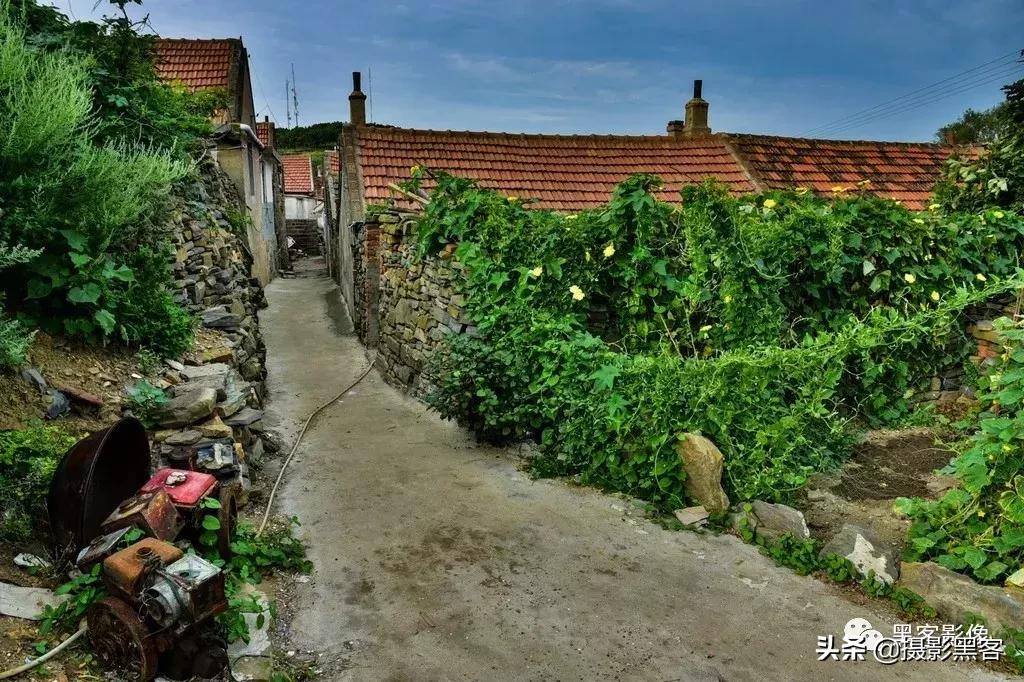 精致小青岛，秀美渔村入画来