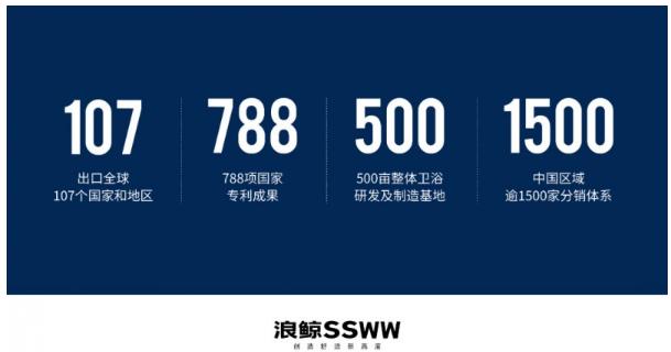 浪鲸卫浴有哪些优势品牌,浪鲸卫浴sazy005a功能