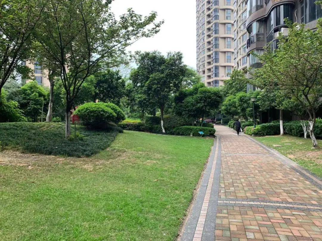 老城中的“奇葩”！这个经典盘的价值有没有被低估？