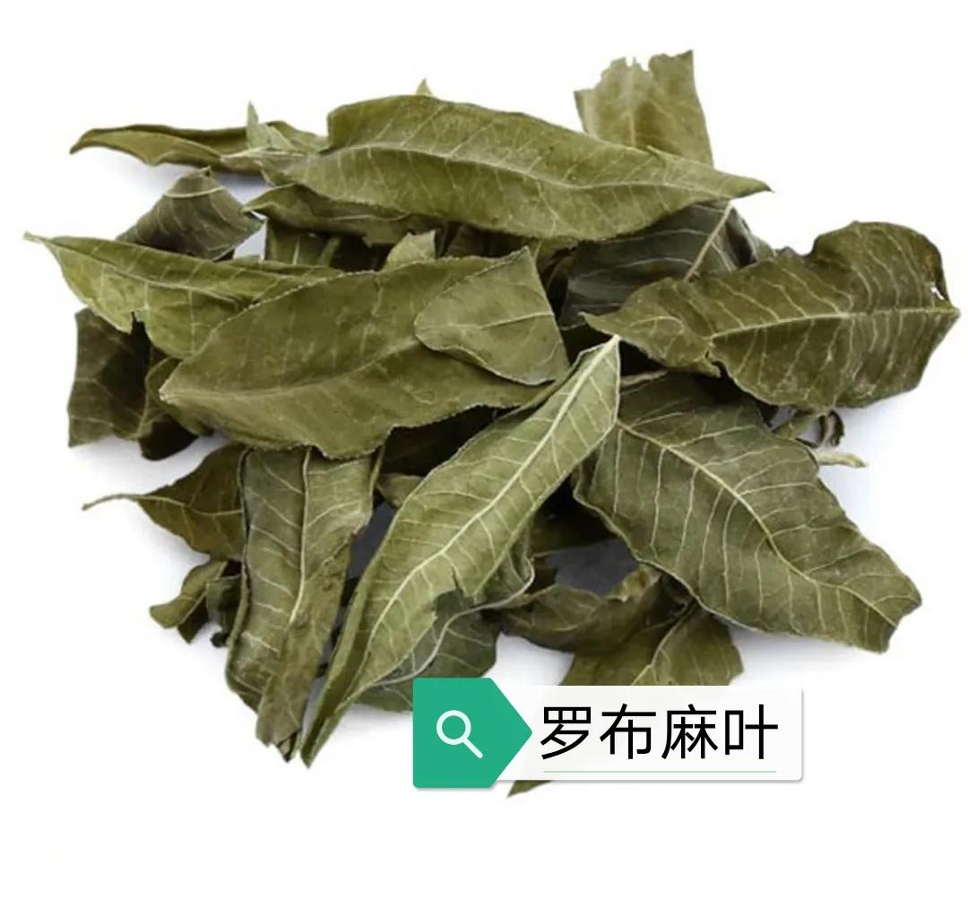 中药罗布麻叶的作用与性能,罗布麻叶的功效与作用