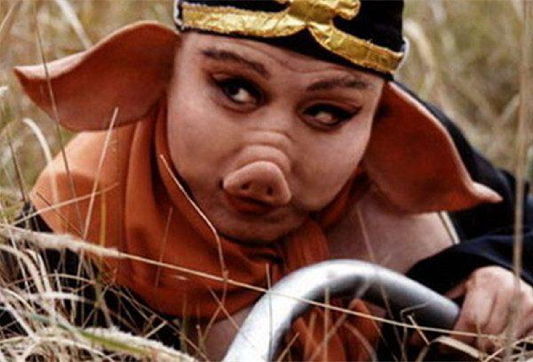 十二生肖猪的故事,听说过猪的故事整人