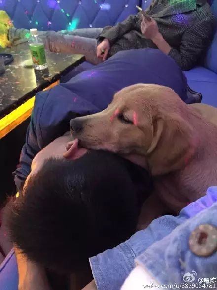 冲动下养猫，你和你的猫现在是怎样的生活？