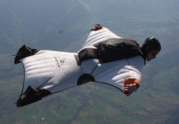 善于飞行的神兽,会飞的宠物小精灵