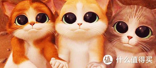 绿田家用洗车机测评,洗车机推荐绿田洗车机