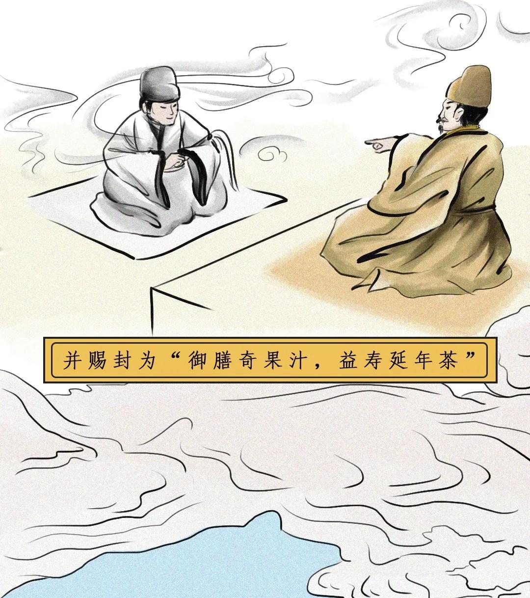 江西茶油树图片,江西茶油价格表