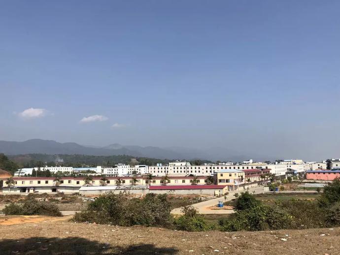 世界上有没有过赌神,世界上有没有真正的赌神