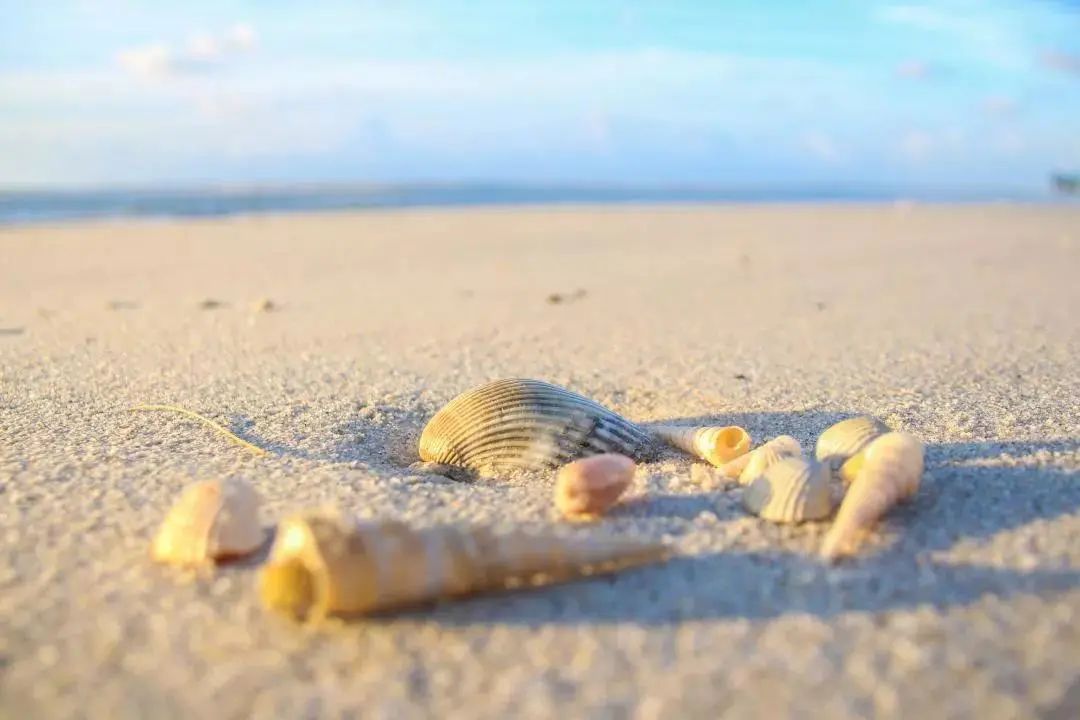 惠州万豪海景度假酒店,双月湾温德姆至尊豪廷度假酒店