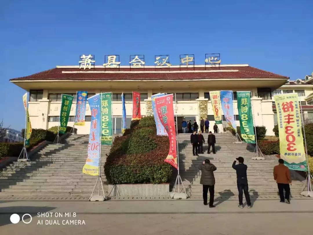 北京联创盯紧“降价，乱价，窜货行为”，开展市场管理大行动