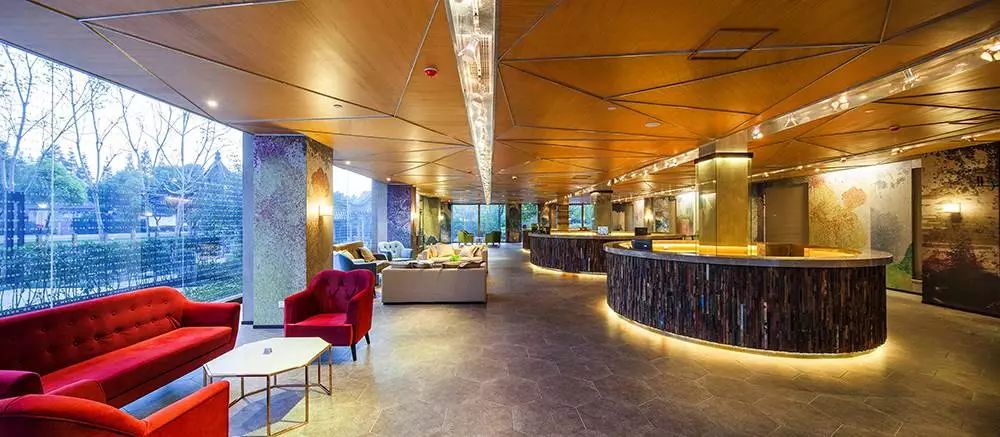 上海人游广州,上海人游浙江