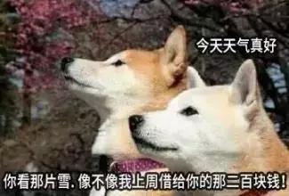 “对不起,我不能把车借给你!”刷爆佛山人的朋友圈!