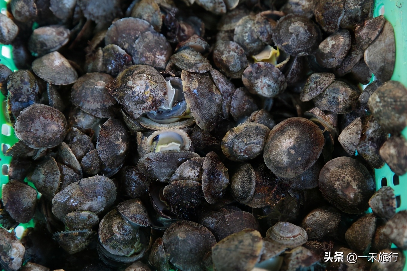 真实的外伶仃岛,广东外伶仃岛在哪里