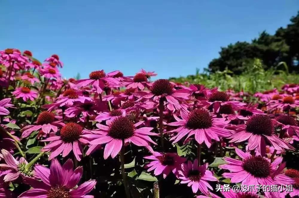 合肥游泳避暑地点,合肥避暑好玩的地方