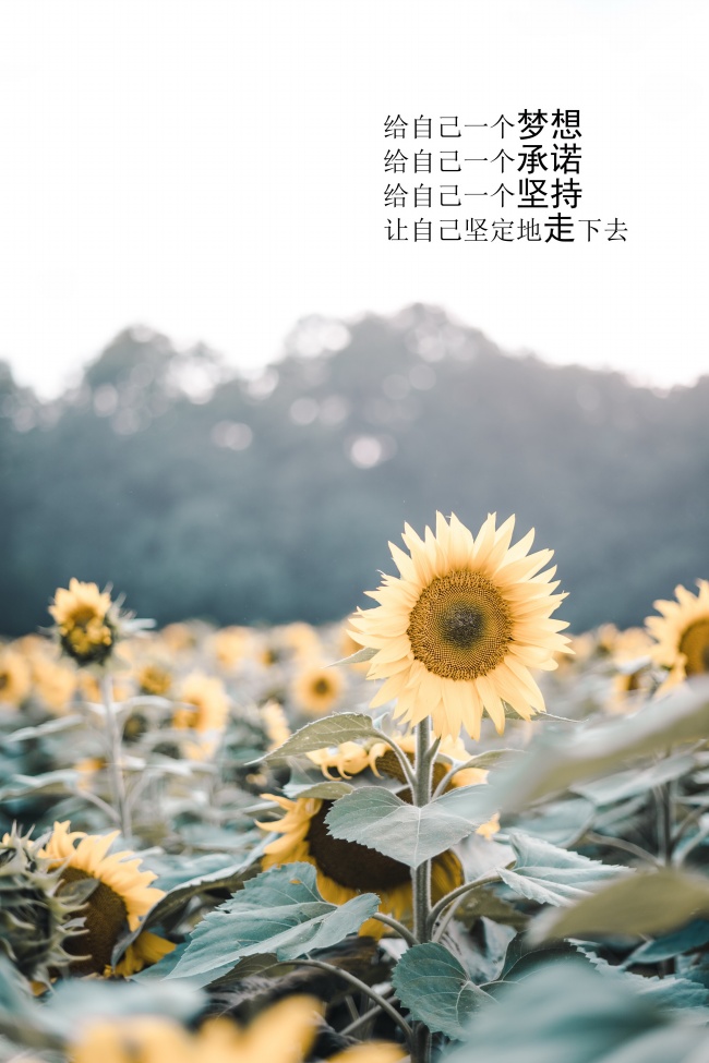 一个班主任的检讨：多一字嫌多，少一字嫌少