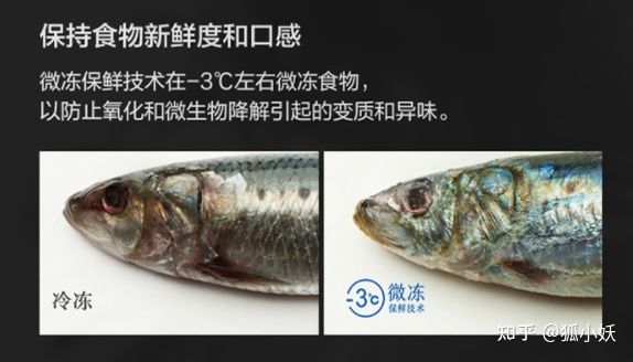 卡萨帝日立东芝博世哪个好,东芝西门子卡萨帝冰箱选哪款