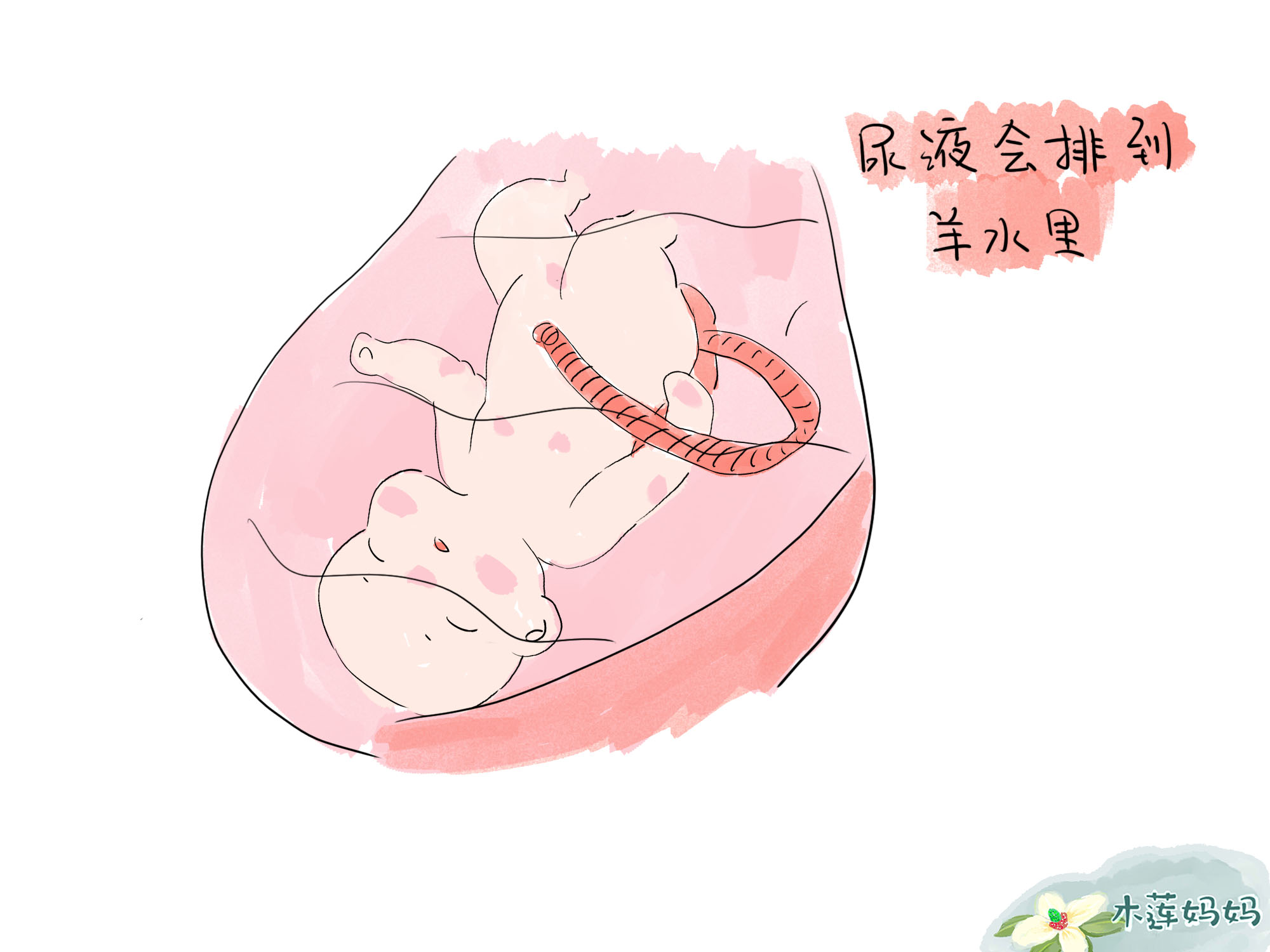 胎儿的粪便如何处理,胎儿的排泄物怎么排出来