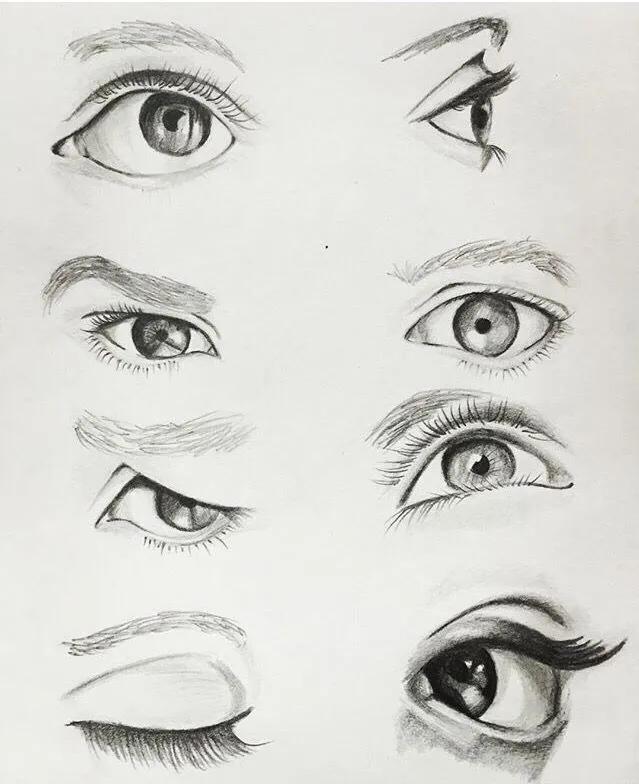 难得一见的动物素描,素描漫画人物超详细的画法