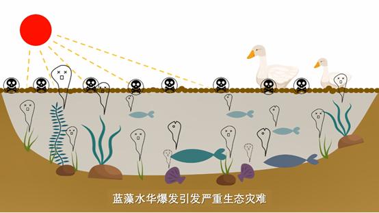 蓝藻是怎么进化来的,蓝藻到底有多可怕