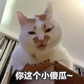 范冰冰品牌面膜自己用不用,范冰冰推荐的酒粕面膜日本断货