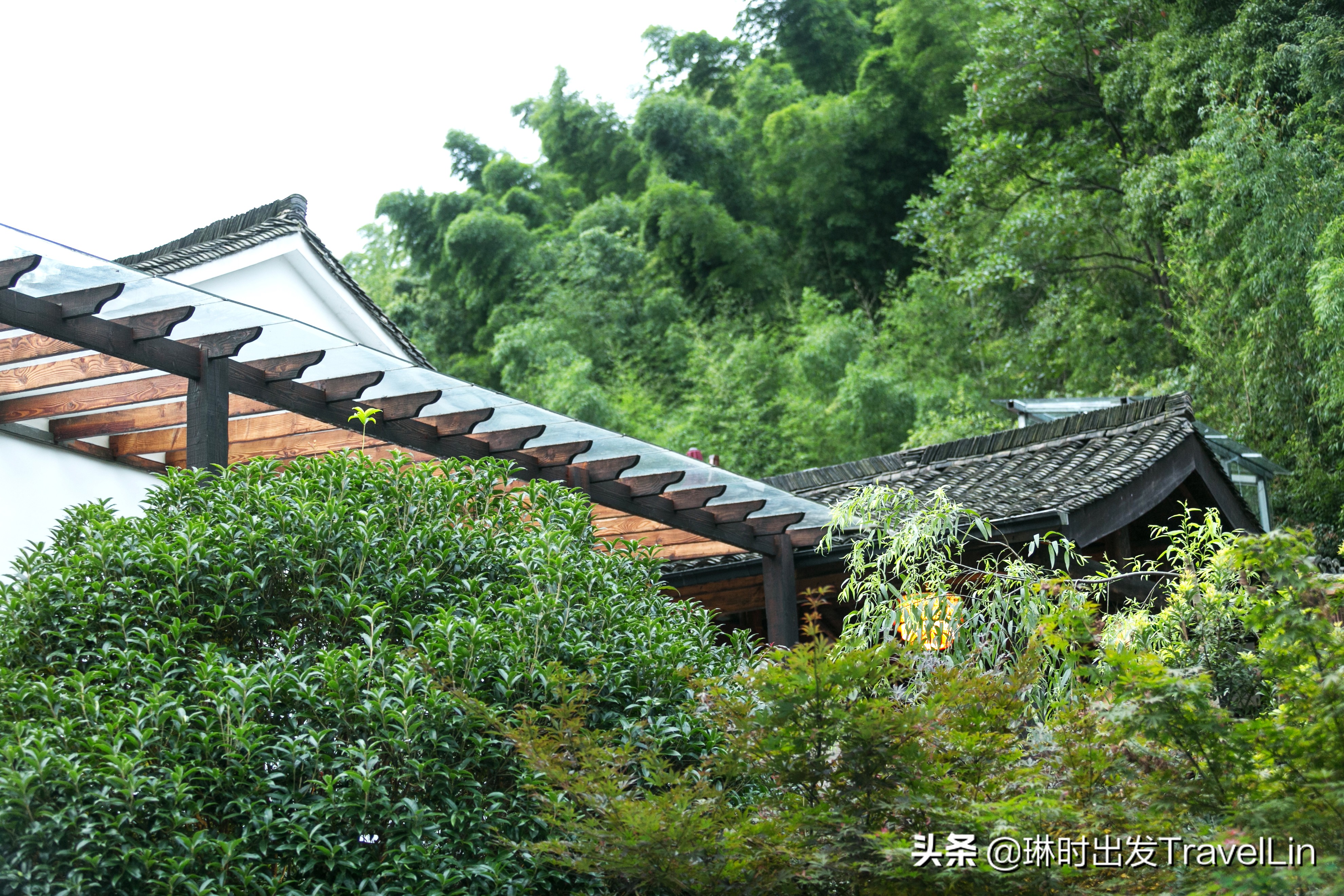 莫干山温泉游玩攻略,莫干山冬天泡汤旅游攻略