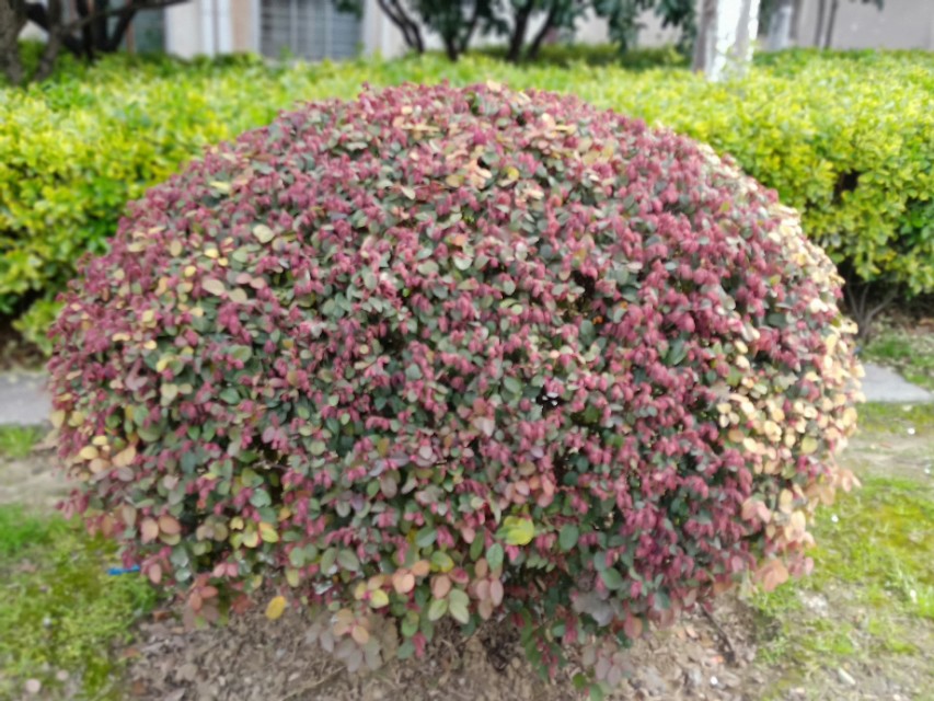 用文言文说学习秘诀,点拨怎么使用