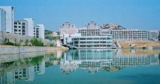 青岛大学2019就业质量情况