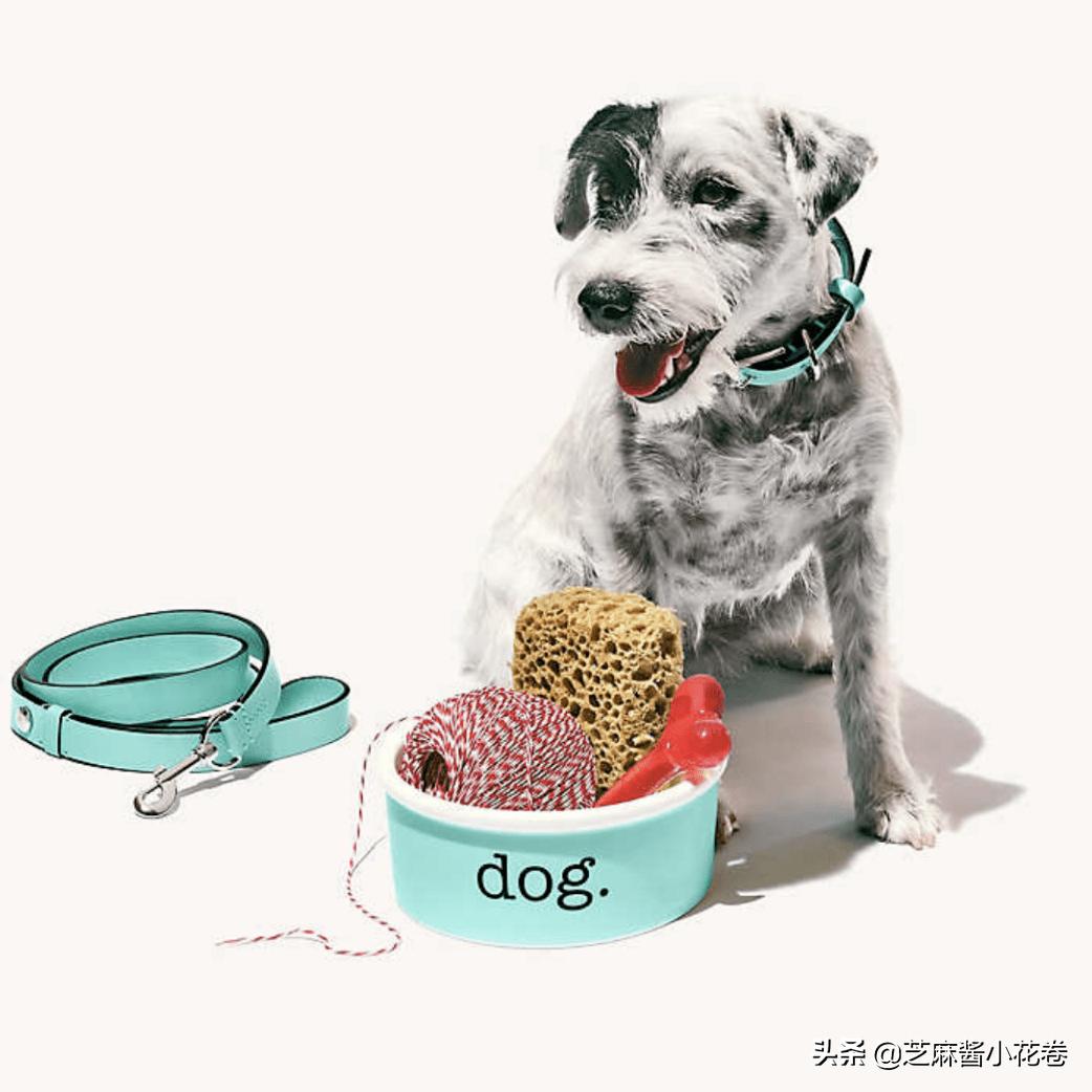 凡尔赛文学其实无处不在,凡尔赛文化盛行