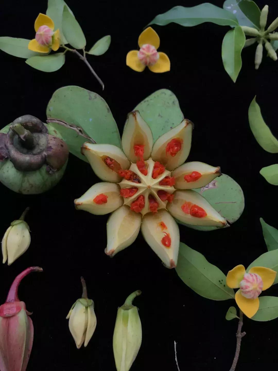 他的工作是厨师的英文,他的工作是什么英文句子