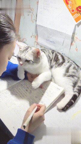 一辈子没钱没工作居无定所，却有500多个数学家愿意养他