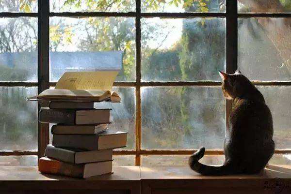 老舍读书的方法和技巧,老舍读书笔记可以写哪些