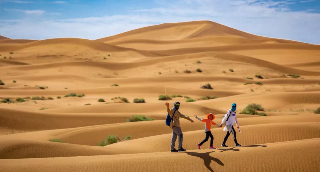 沙漠新手训练营,沙漠早期教育亲子课程