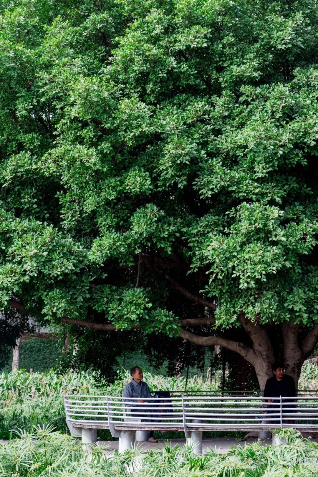 天下最美湖泊西湖,比西湖更美的湖泊