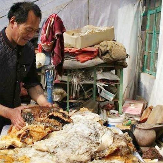 6年前捡到太岁,捡到太岁农民现在过得怎么样了