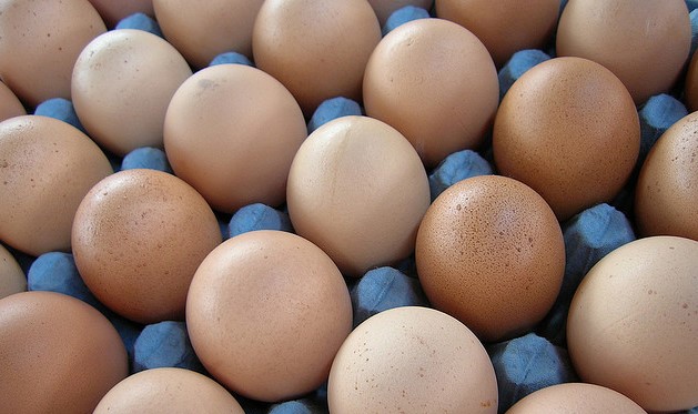 非吃雞蛋不可？打破雞蛋的神話（文:盧麗愛醫生）