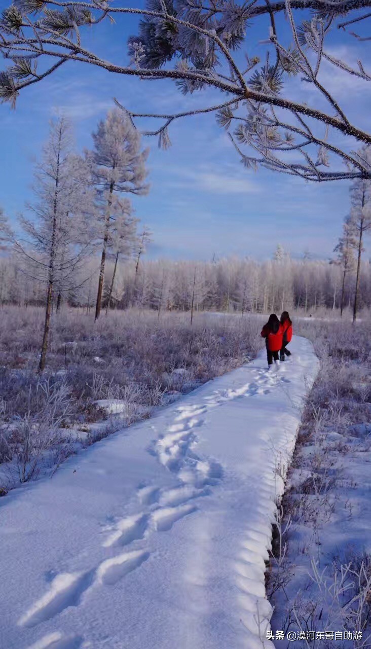 东北五日游漠河,漠河4天3夜旅游攻略