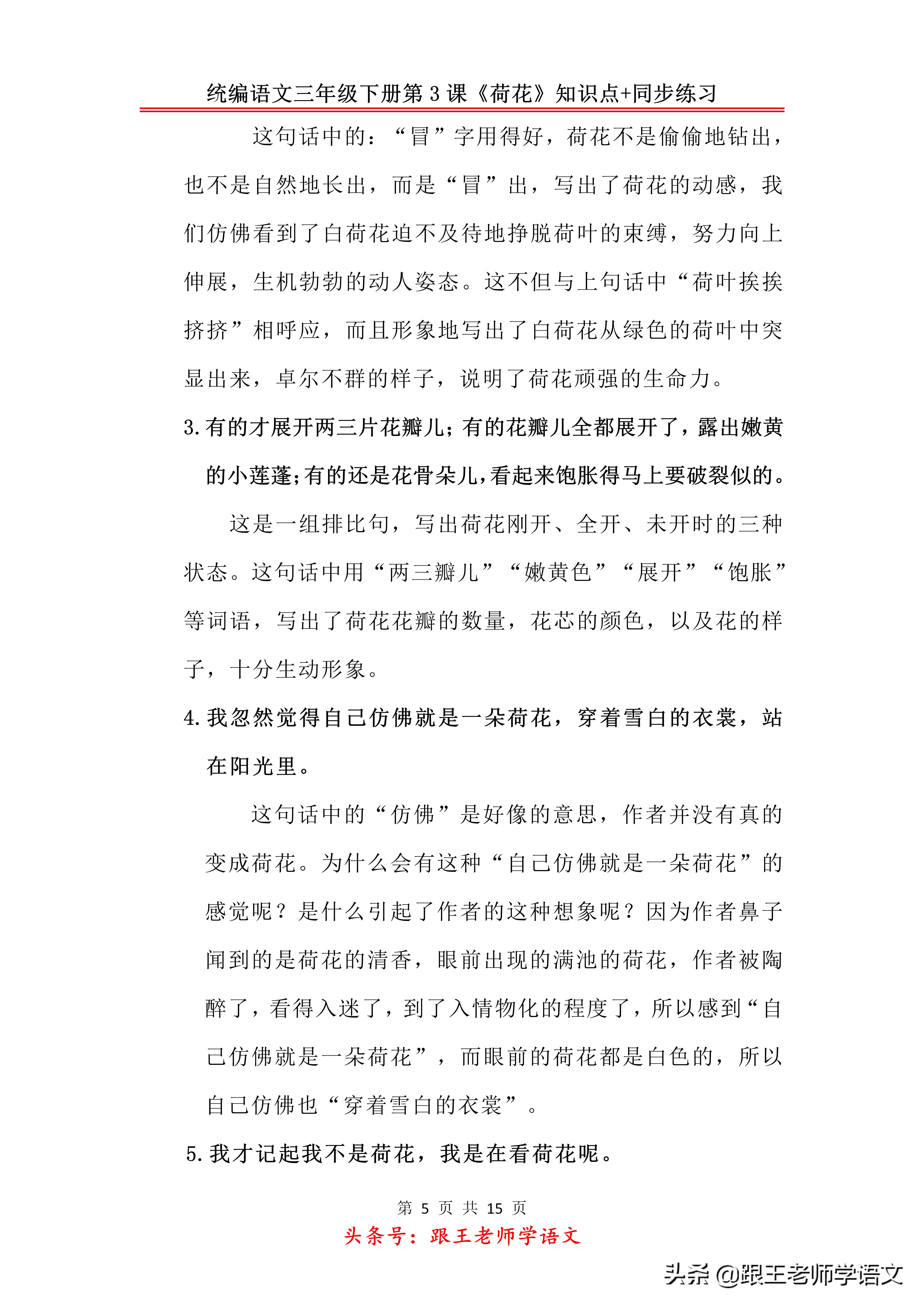 三年级下册荷花2到4自然段的段意,部编教材三年级下册荷花教学视频