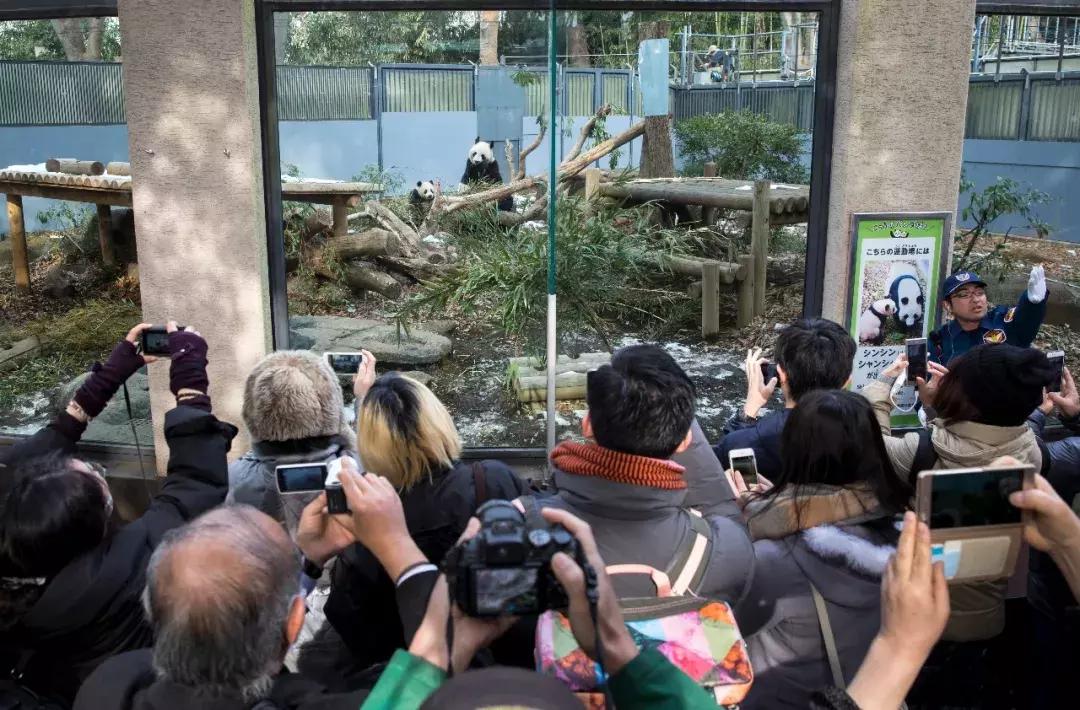 没有熊猫可爱，其他珍稀动物就活该灭绝？