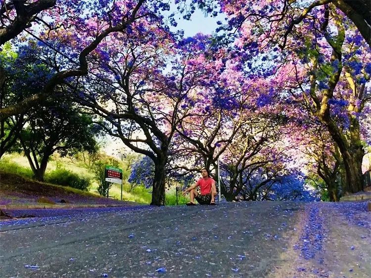 「东郊」5万人民币能干嘛？而我却能带你周游世界！