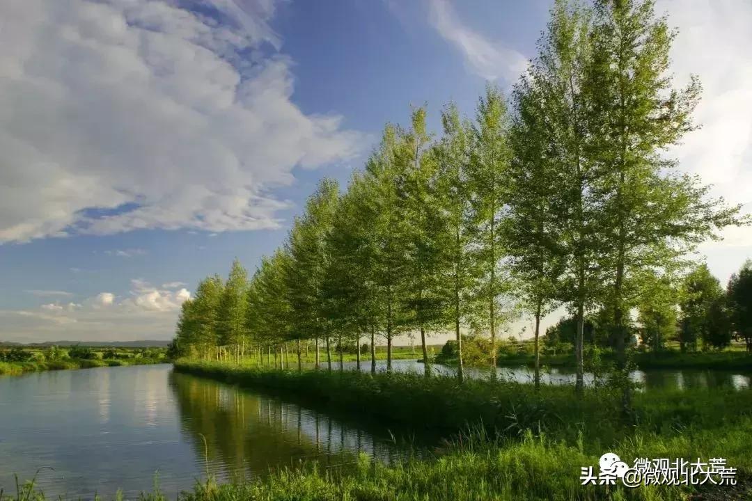 北大荒的追梦人|葛柏林：打造“中国最美家庭农场”的北大荒人！