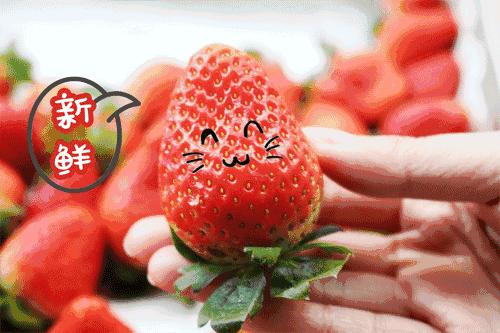 与永丰乐城相约一场“莓”好时光之旅