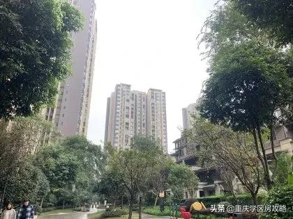 照母山的重点中学,照母山优质学区