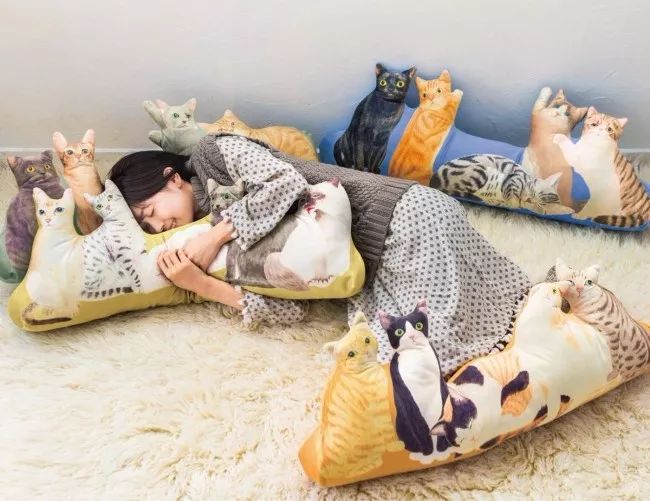 360度“云吸猫”?日本这家猫咪商店简直爱了