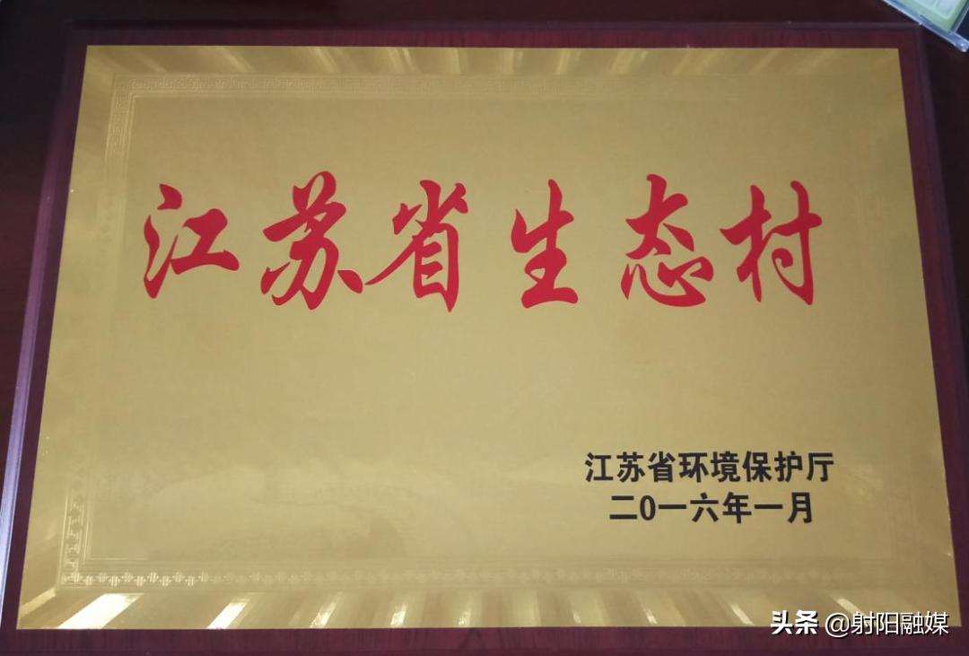 全市唯一！射阳的这个村不简单，再次入选“国字号”名单